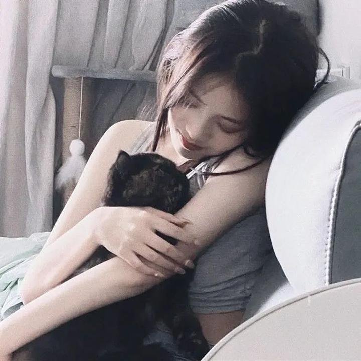 麒麟之翼